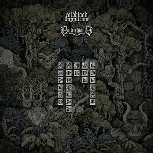 Path Of Giants (USA) : Sacred Silence of the Forest